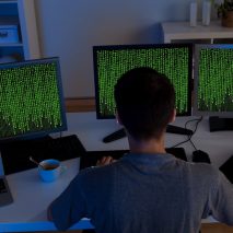 An Investigation into Bugs
