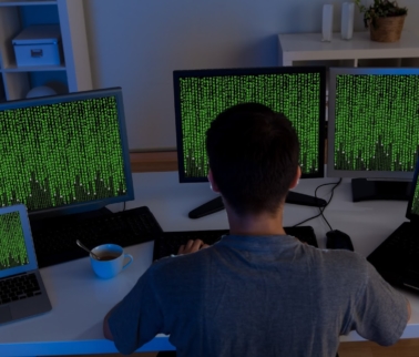 An Investigation into Bugs