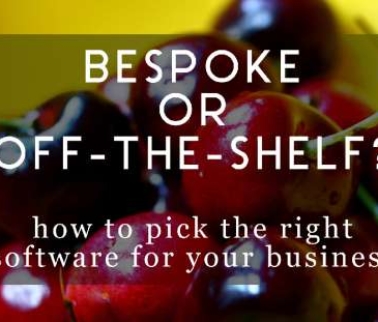 ​Before you invest in business software