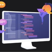 Why do companies outsource software development?
