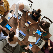What are the different types of business software?